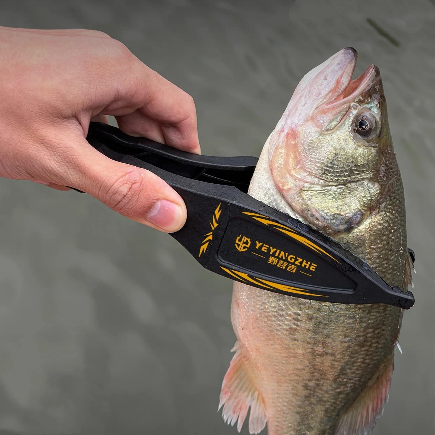 Fish Floating Gripper - Fishing Tool for Lip Gripper, Ami Extractor, Squame Pinza and Grippers for Fisherman's Mouth