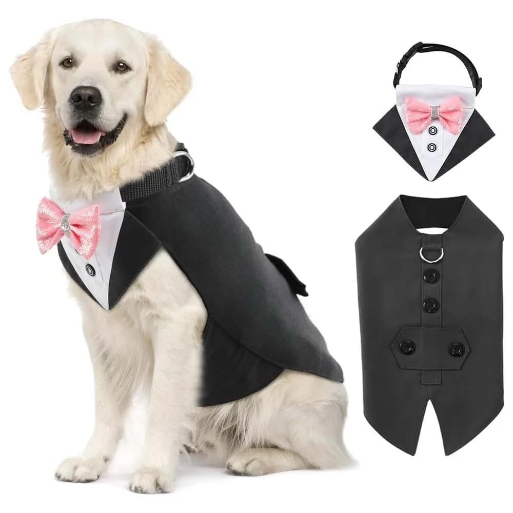 Abito da smoking per animali domestici con colletto coordinato Pronto stock Abbigliamento formale per cani Costume da festa Abiti premium per animali domestici