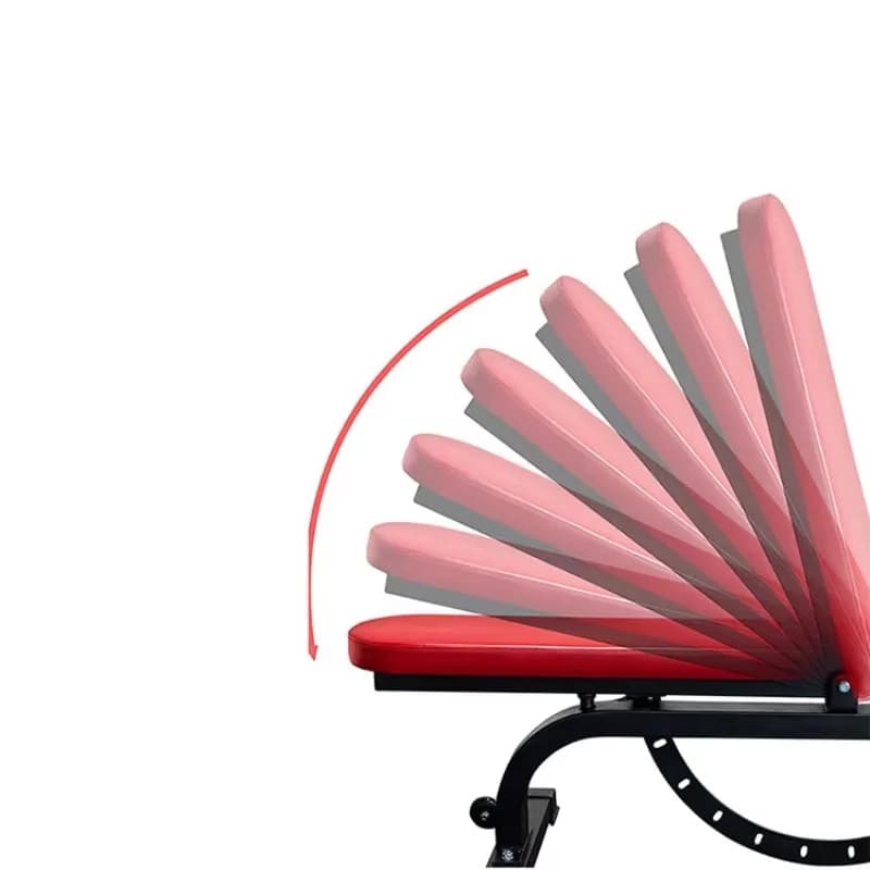 Adjustable and Foldable Commercial Training Bench for Gym, for Exercises with Manubri and Abdominal
