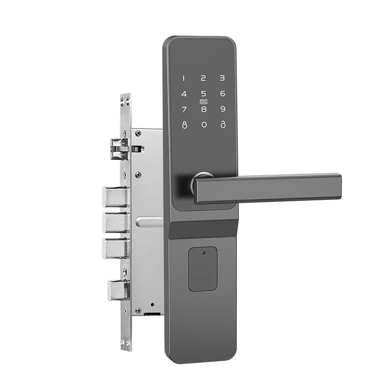 Smart door lock spot appartamento all'ingrosso password temporanea in famiglia stanza in affitto telecomando elettronico Bluetooth