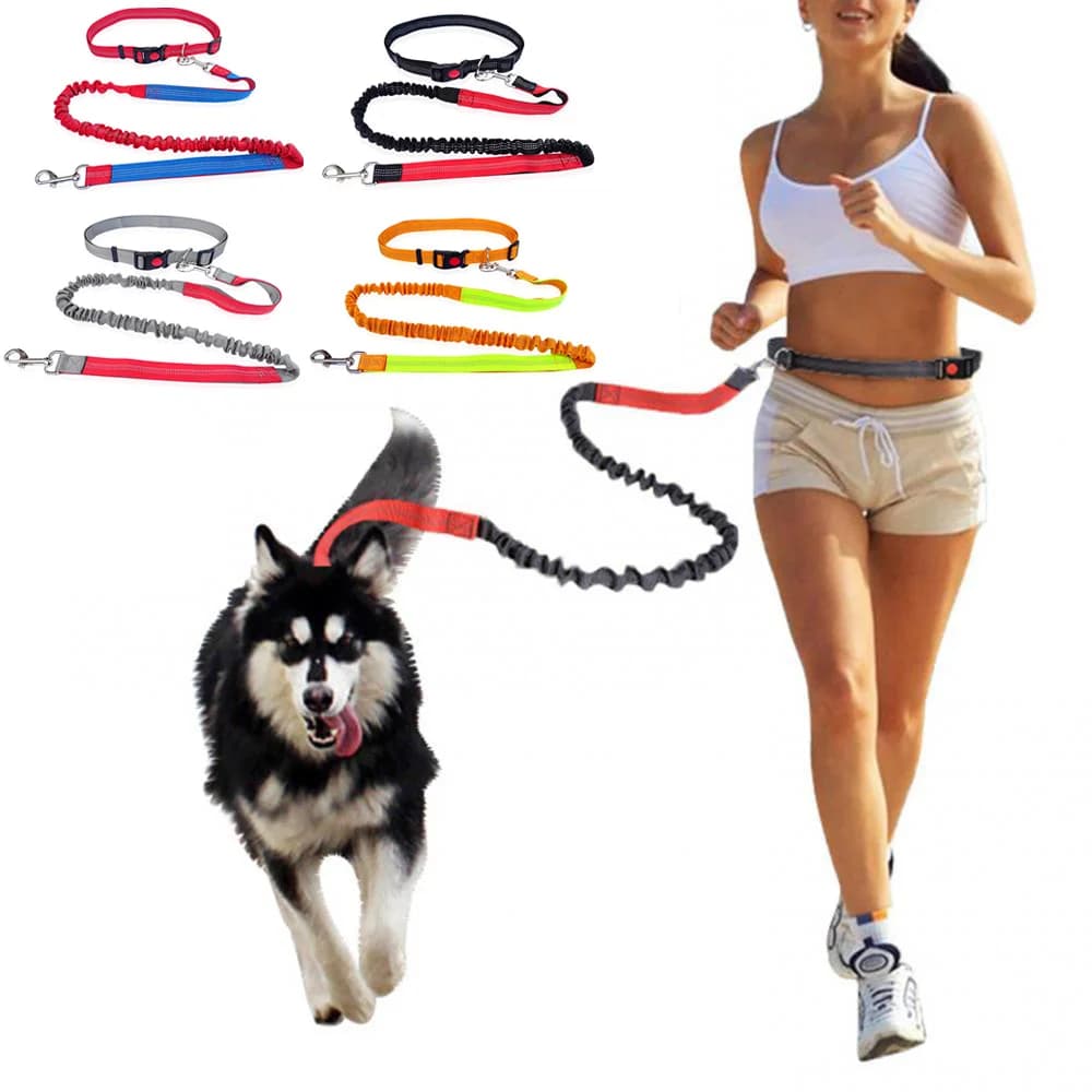Durable Elastic Nylon Dog Grip for Running and Leash for Pets with comfortable grip, ideal for active dogs and pet owners