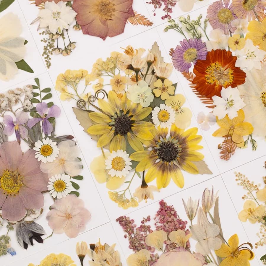 Natural Vintage Air Dry Dried Flower Craft Kit, Mixed Botanical Petal Special Pack, Soft Retro Floral Supply for Daily Scrapbook Resin DIY Styling