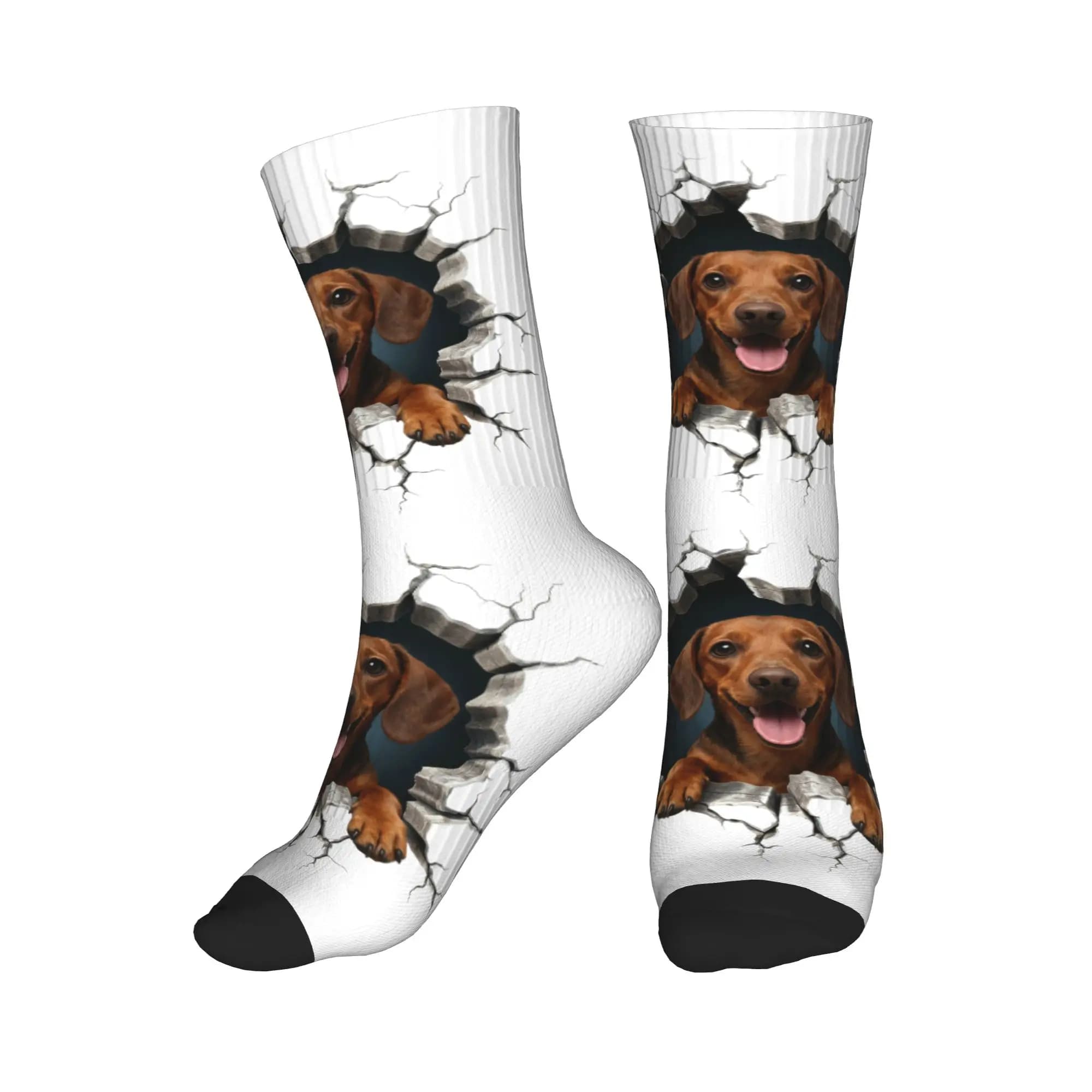 Calzini divertenti con stampa Breaking Through Dachshund Dog per uomo e donna, calzini elasticizzati per l'estate, l'autunno e l'inverno
