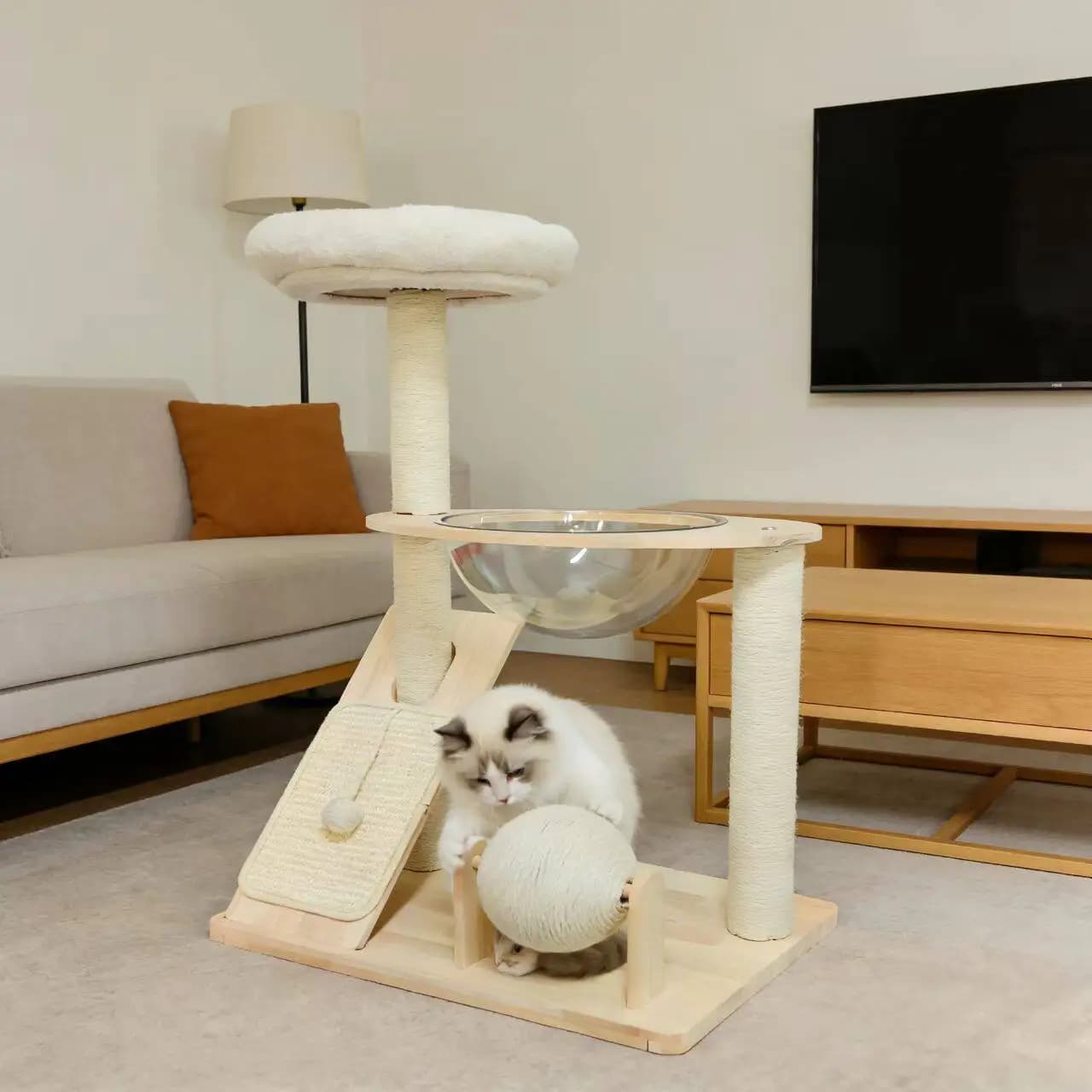 Torre di Arrampicata di Lusso per Gatti con Mensole, Accessori in Legno, Tiragraffi e Cuccia - Forniture per Gatti