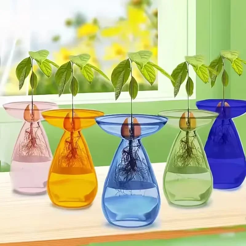 Avocado Hydroponic Vase Transparent Plant Propagation Station Glass Avocado Seed Starter Flower Vase Gardening Lover Home Decor