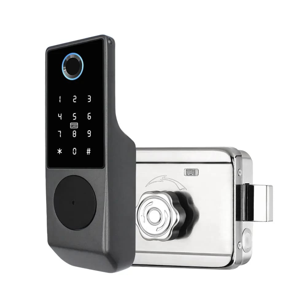 Impermeabile Tuya Smart Double Side Blocco impronte digitali Keyless Entry Motore Rim Door Lock 2.4G Wifi Telecomando con Alexa Echo