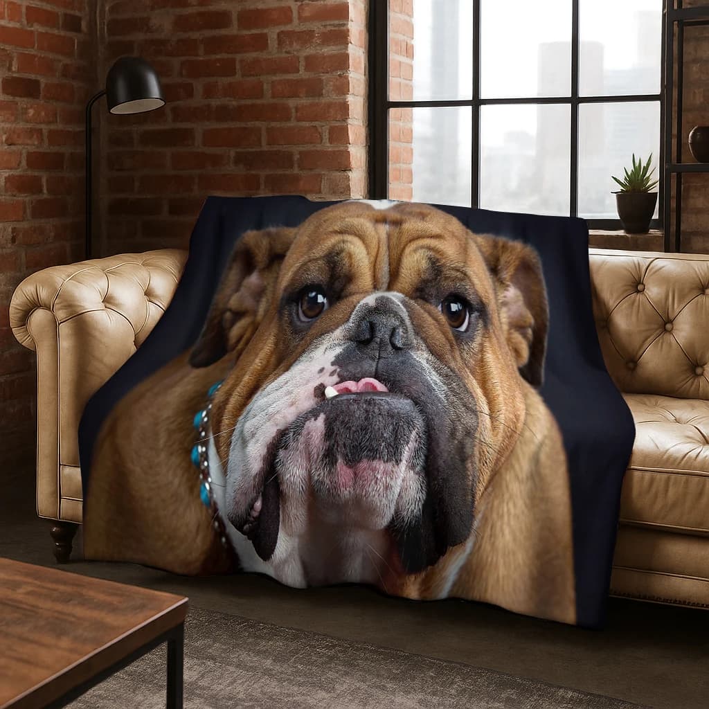 Coperta in flanella 3D Bulldog Dog Animal Cartoon Coperta morbida e calda per letto Camera da letto Soggiorno Ufficio Viaggi Campeggio Picnic