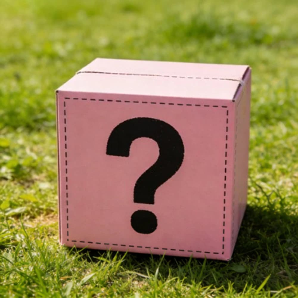 Set Regalo Misterioso a Sorpresa 5 Pezzi in Sacchetto - Scelta Casuale