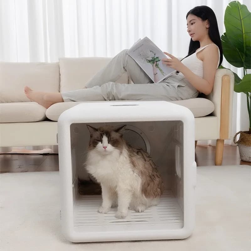 Asciugatrice Automatica Intelligente per Animali Domestici, Box Asciugante per Cani e Gatti, Adatta a Tutti gli Animali