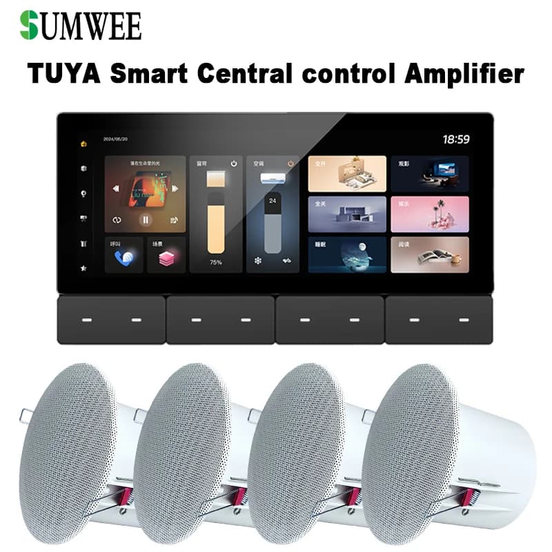 Sistema audio intelligente WIFI Tuya Pannello di controllo domestico Gateway ZIGBEE integrato IR Bluetooth Amplificatore da parete Altoparlante da soffitto Lettore musicale