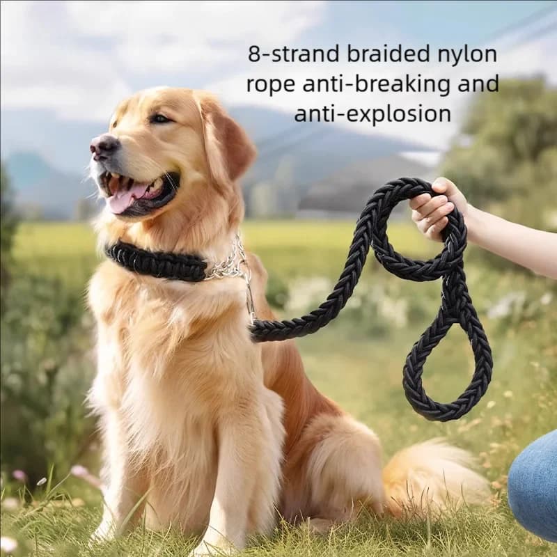 Pelle di cane intrecciata comoda e resistente: una scelta ideale per l'addestramento efficace e le passeggiate piacevoli. Combinare la durata e il confort