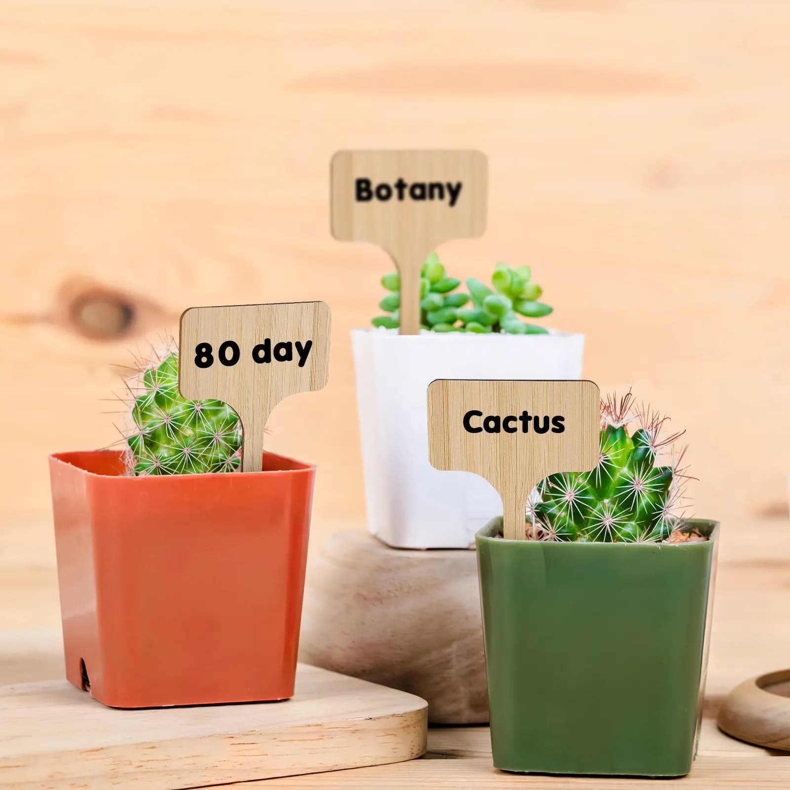 25 Etichette in Legno Rustico a Forma di T, Bifacciali, per Vasi di Fiori, Giardino di Erbe e Tracciamento Semi, con Pennarello Incluso