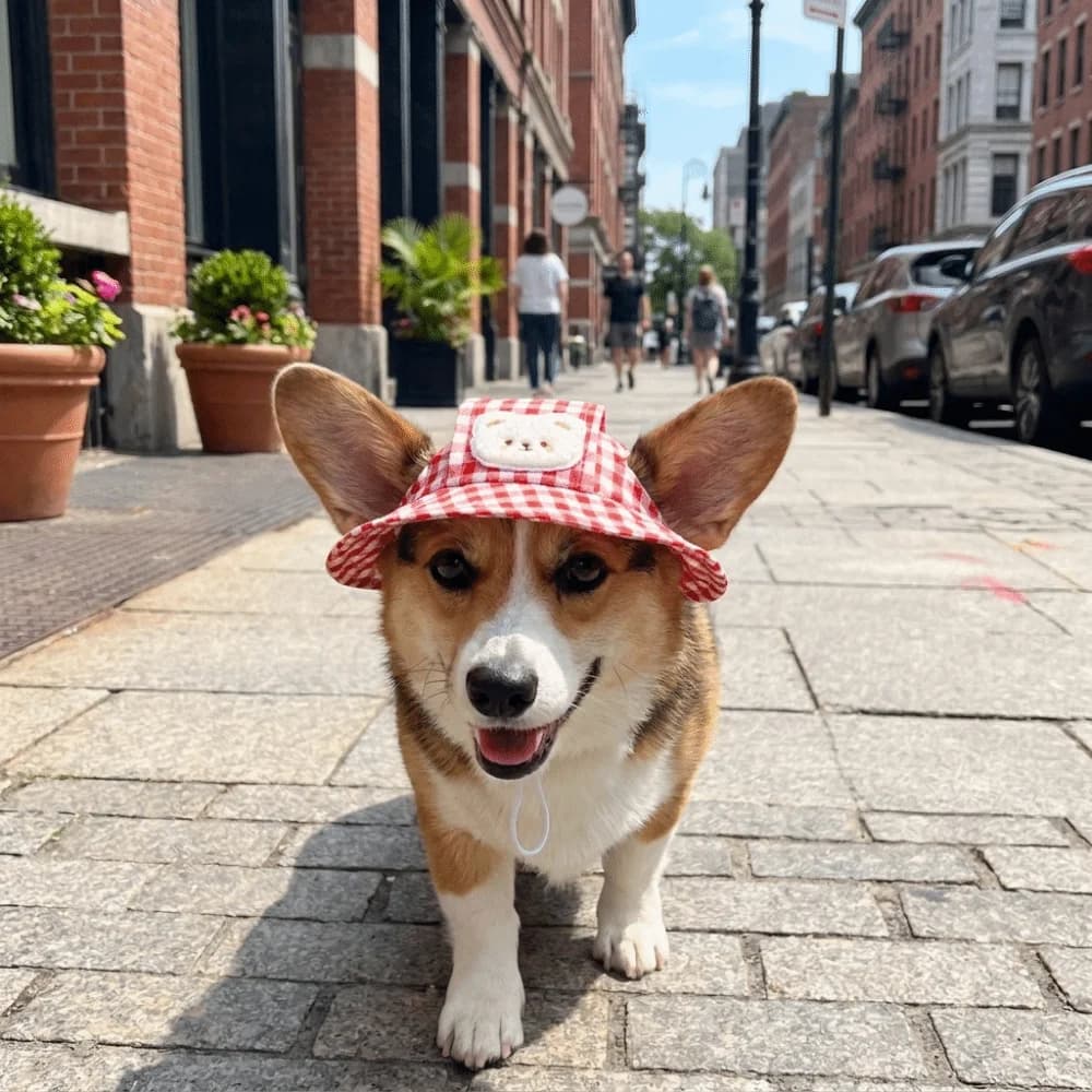 Cappello da Pescatore per Cani con Motivo Cartone Animato, Traspirante, Stampa Scozzese, Cappello Parasole per Gatti, Regolabile con Fori per le Orecchie, Visiera per Cani da Esterno