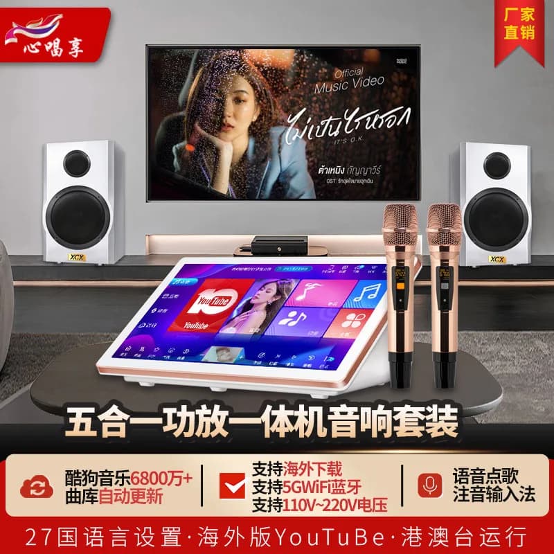 Set di sistema audio KTV per la casa, macchina per karaoke all-in-one, set di altoparlanti per uso domestico e commerciale