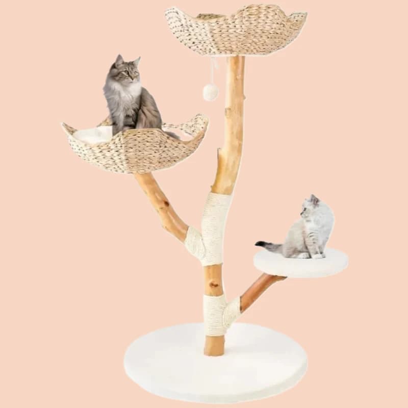 vendita calda Mobili moderni per gatti, appartamento, struttura da arrampicata, casa sull'albero, baule in legno aggrovigliato in sisal e cestino intrecciato
