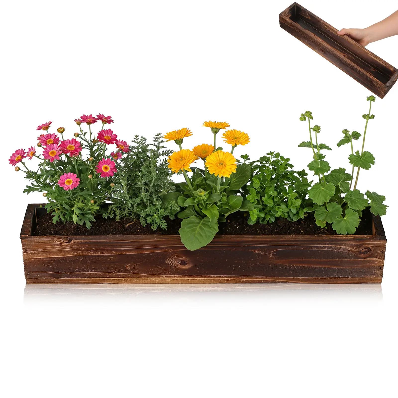 Wood Flower Pot Rustic Succulent Planter Wooden Container for Indoor Outdoor Garden Balcony Decor Succulent for Indoor Plants