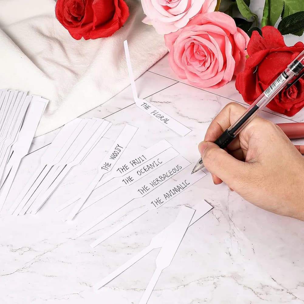 A99G-600 Pezzi Strisce profumate Strisce reattive per profumi Detergente bianco usa e getta Tester di carta per oli essenziali per aromaterapia