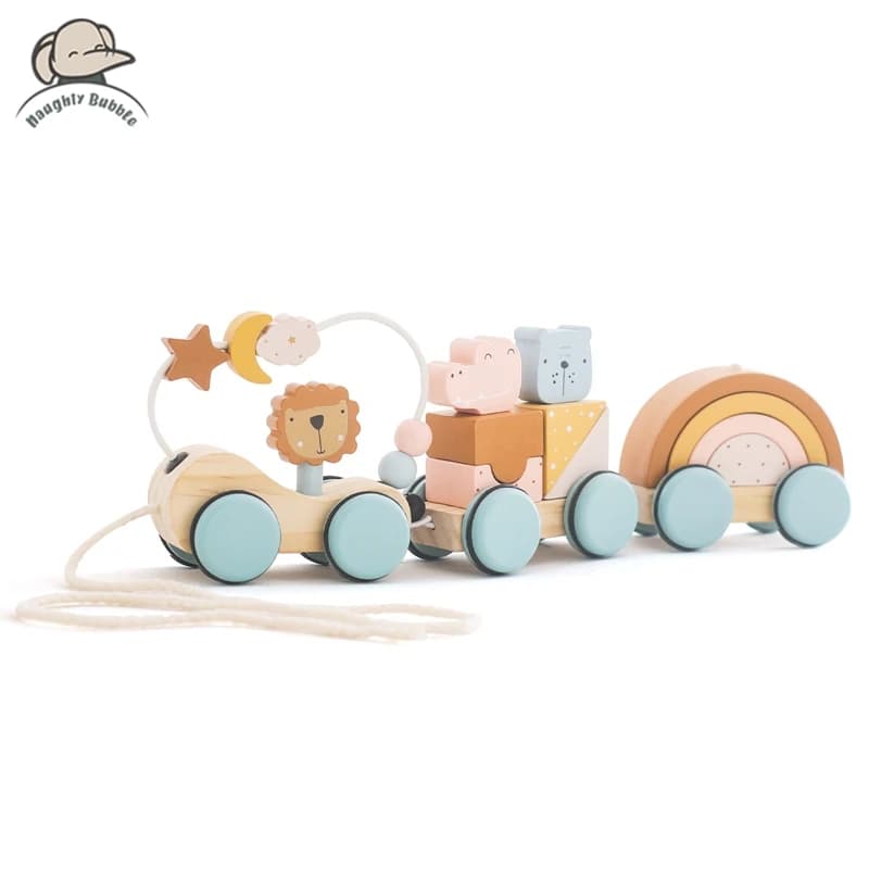 Giocattoli Montessori in legno Animal Block Train Building Block giocattolo impilabile spingere e tirare il carrello manualmente giocattoli per l'equilibrio del bambino regali