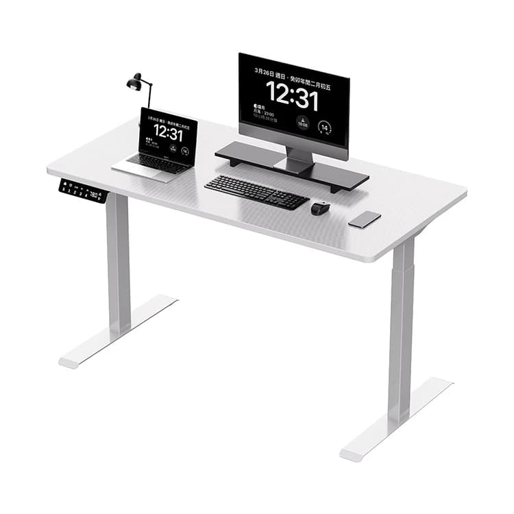 Scrivania per computer a forma di L per ufficio domestico da gioco Scrivania in piedi a doppio motore Scrivanie elettriche regolabili in altezza con luce LED RGB