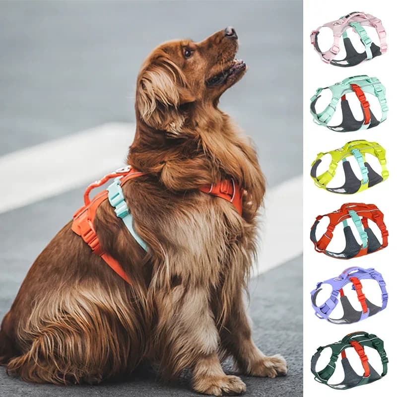 Guinzaglio transfrontaliero traspirante per cani di taglia media e grande, petto per cani da compagnia, petto per cani di grandi dimensioni, punzone antideflagrante, gilet da esterno