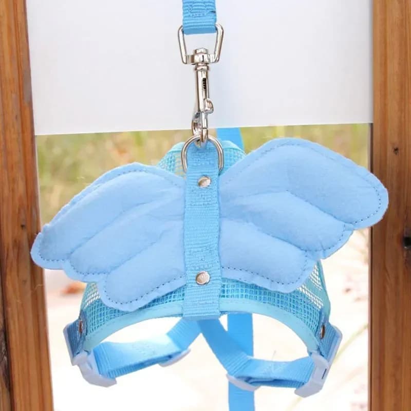 Adorabile comfort per gatti e cani, gilet da passeggio di sicurezza per animali domestici, imbracatura abbinata al guinzaglio, costume con ali d'angelo