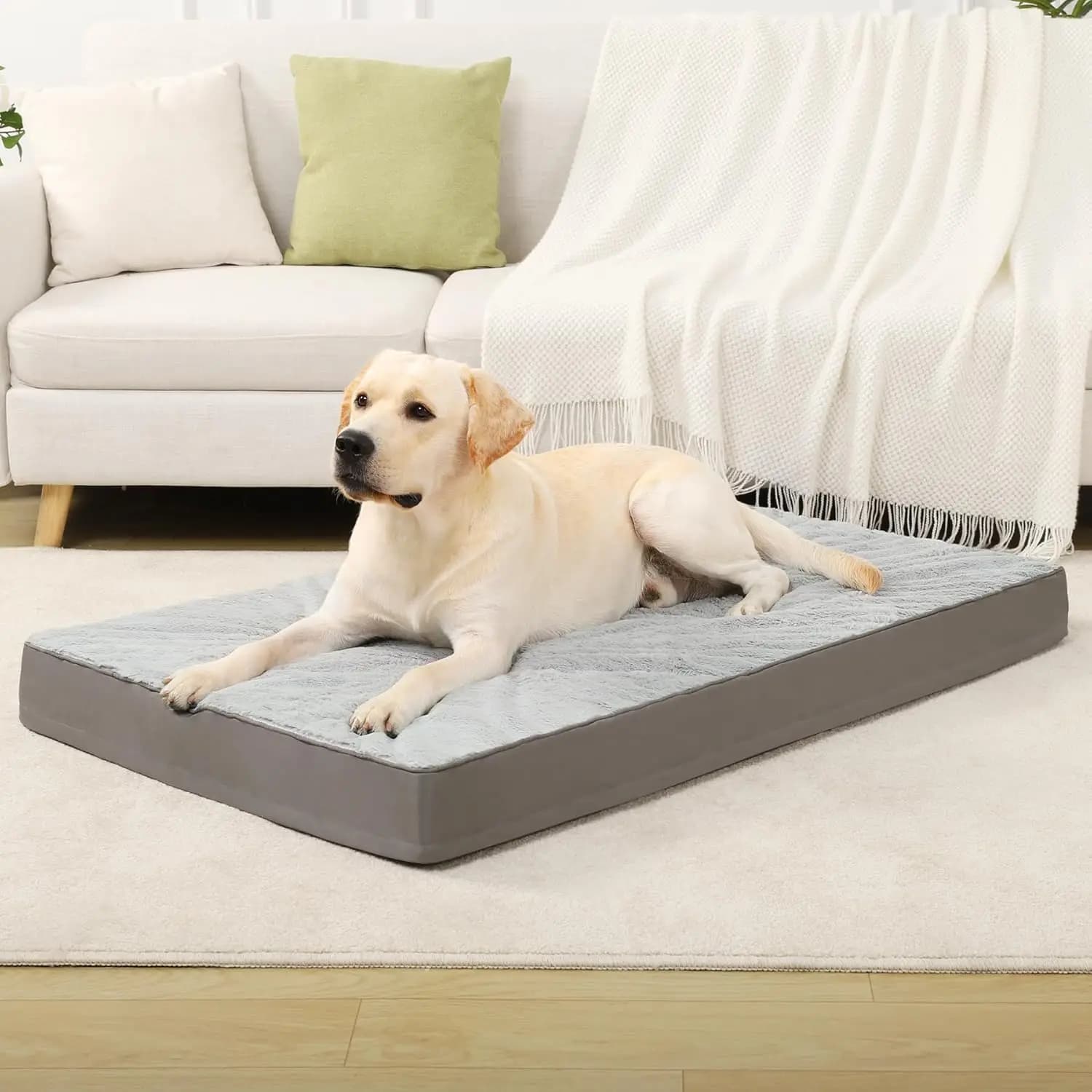 Cuccia Ortopedica per Cani Impermeabile Extra Large, Materassino Lavabile in Peluche con Schiuma a Nido d'Ape e Rivestimento Rimovibile, 53x36 Pollici Grigio