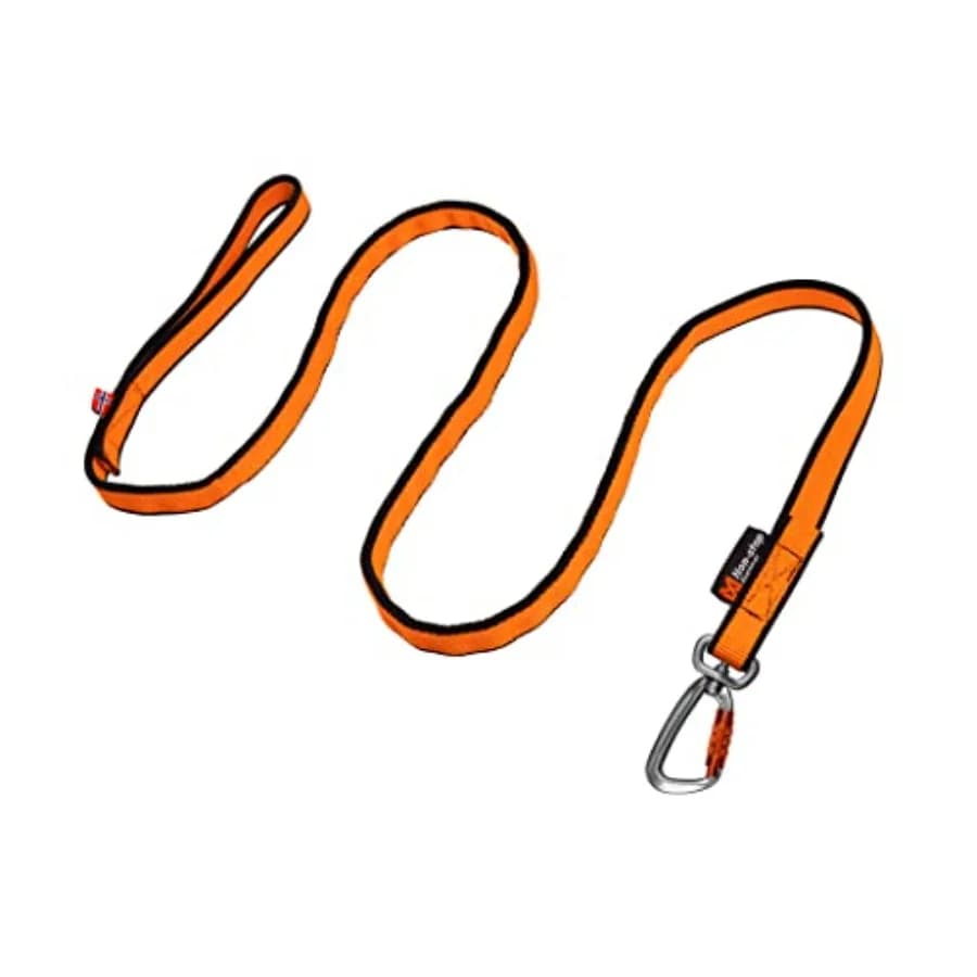 Guinzaglio Elastico per Cani per Sport Come Corsa, Ciclismo e Sci con i Cani, Nero/Arancione, Misura 2,0 m/23 mm