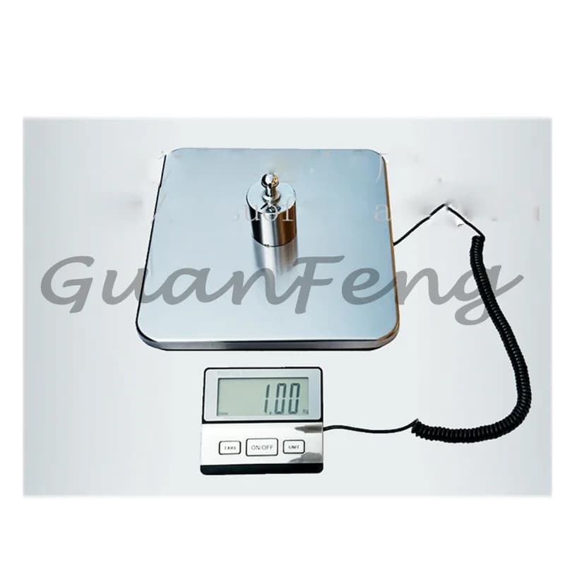 Weighing Transport Scale Stainless Steel Surface 100Kg Luggage Weighing Scale