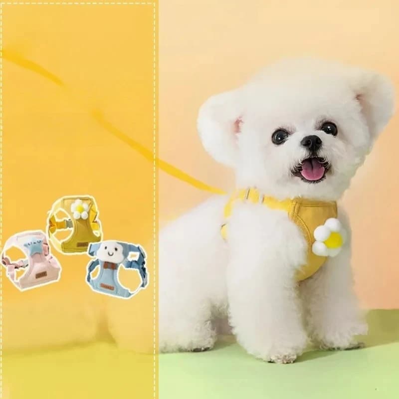 Small Dog Vest Harness and Leash, Puppy Walking Rope for Teddy Bichon, Pet Dog Chain for Outdoor Walking