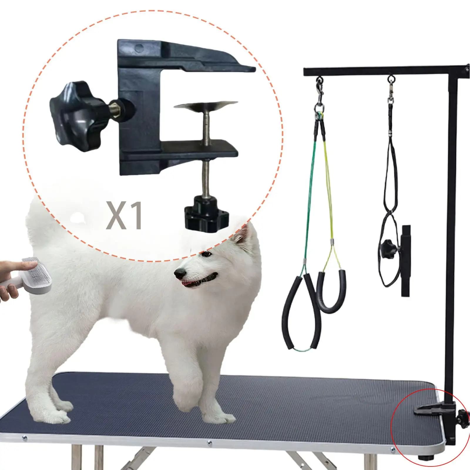 Morsetto di Ricambio per Braccio Tavolo Toelettatura Animali, Clip di Fissaggio Accessorio per Tavolo Toelettatura