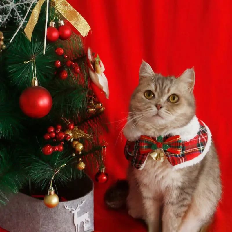 Mantello natalizio per gatti Pet Capodanno Mantello Scialle Sciarpa Inglese Corto Autunno Inverno Abbigliamento Accessori caldi e carini Collare per cani gattino