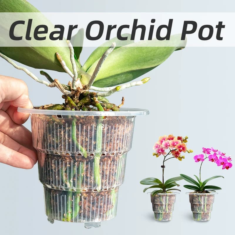 Meshpot transparent plastic orchid vases with holes and saucers for reconstruction of small florists for orchids control of roots transparent jar for orchids