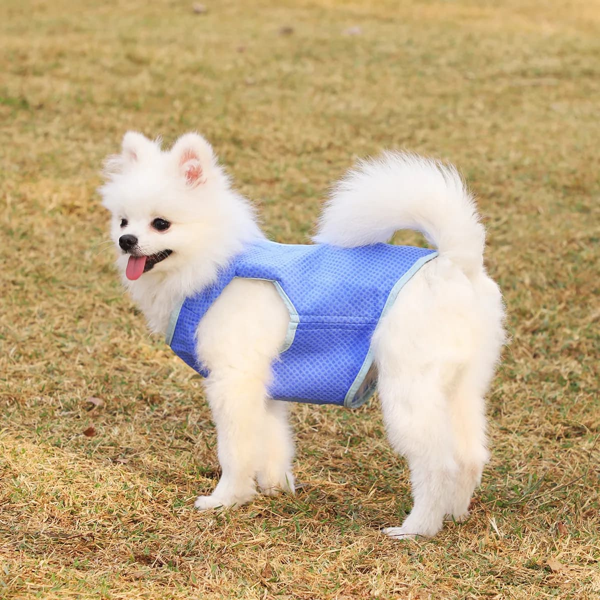 Ukcoco Gilet Rinfrescante per Cani Ultra Traspirante, Imbracatura Rinfrescante in Rete PVA Super Assorbente con Nastro, Facile da Indossare e Togliere, Leggero