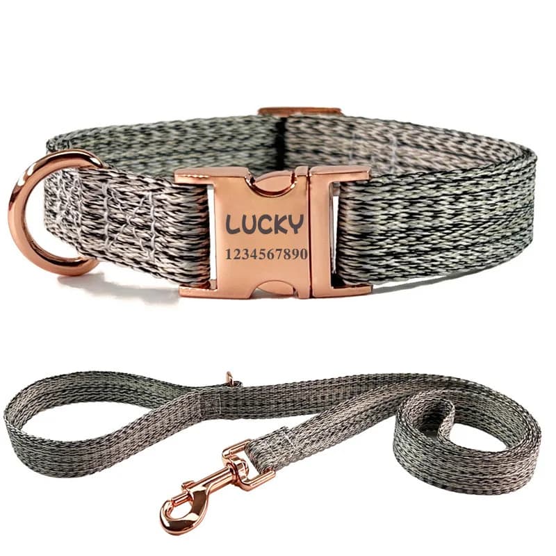 Pet Dog Collar with Lettering To Prevent Getting Lost Cat Puppy Metal Buckle Collar Teddy Traction Rope Dog Rope Dog Chain