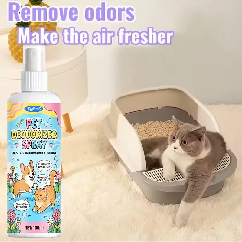 Spray eliminatore di odori per animali domestici per incidenti di urina di cani e gatti su mobili in moquette Nebbia deodorante naturale, deodorante per ambienti a lunga durata