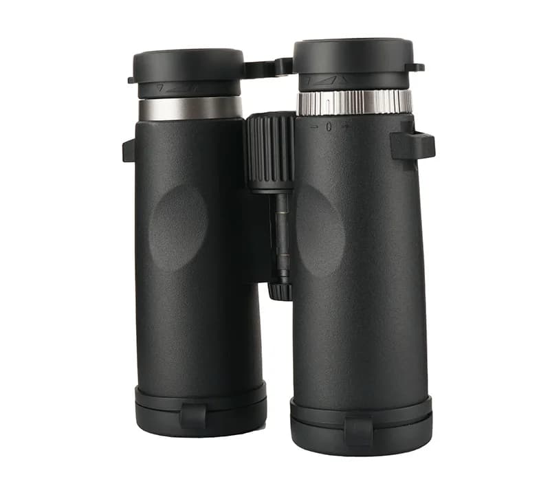 Binocolo oculare grande trasparente 10x42 Telescopio esterno con prisma Bak-4 impermeabile per birdwatching Concerto in campeggio Viaggi