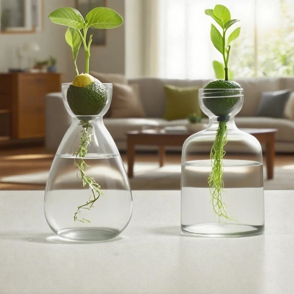 Creative Vase Flower Glass Hydroponic Seed Bottle Glass Vase Living Room Decorative Item Small Flower Vase Household Decorative