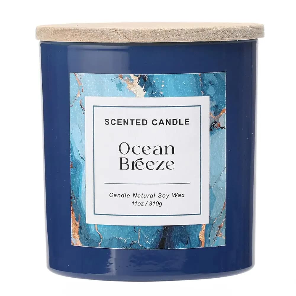 Candela Ocean Breeze, Candela Profumata Primavera ed Estate, Candele in Cera di Soia Naturale per Casa, Regalo di Candele Profumate per Donne e Uomini, 11 oz