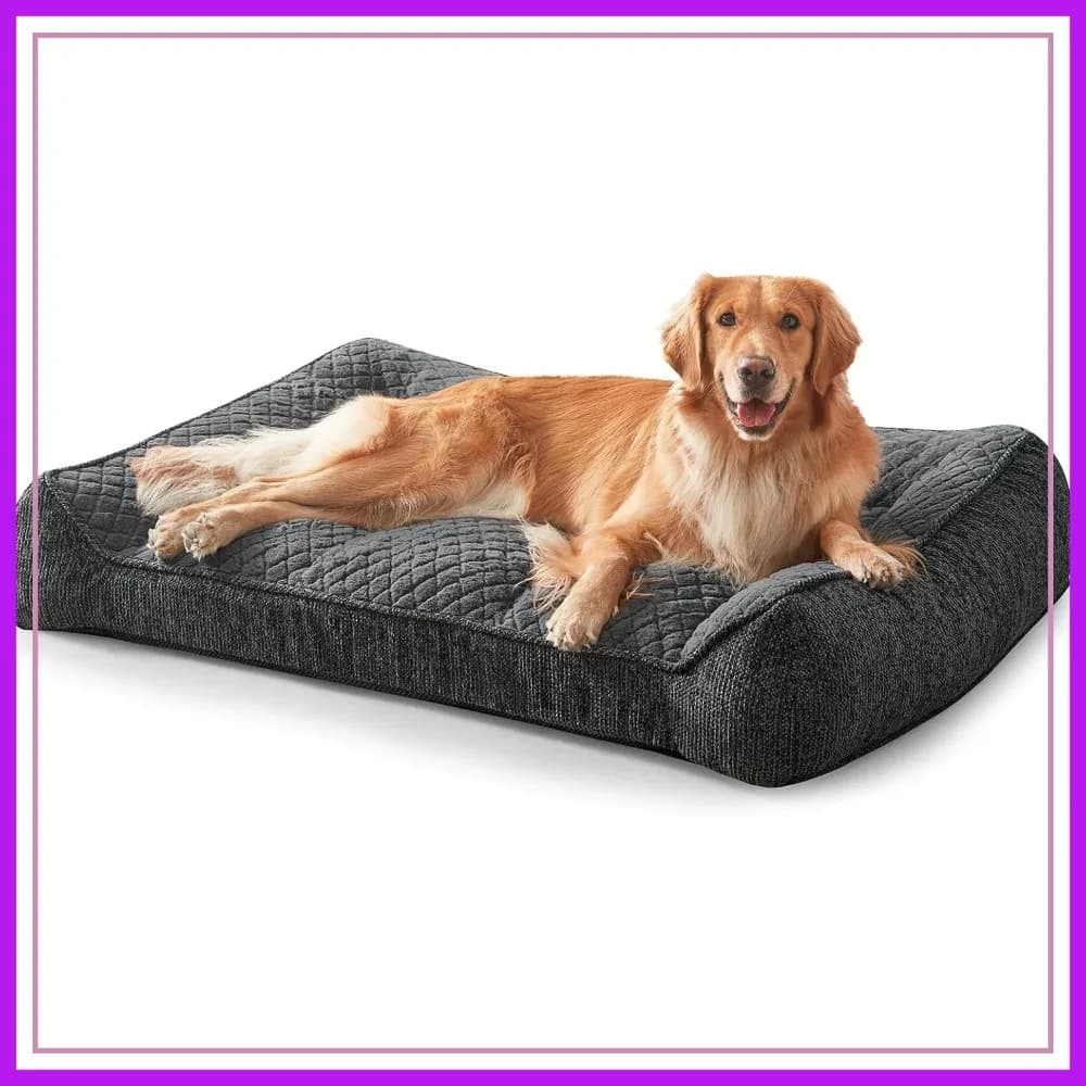 Letto Ortopedico Extra Large per Cani con Lati Rinforzati, Grigio 48x35, Rivestimento Lavabile