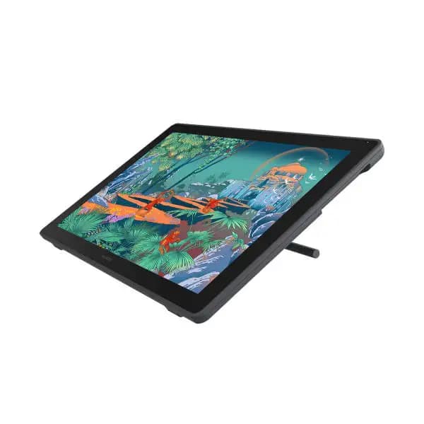 Huion Kamvas 24 Plus, Monitor LCD Professionale da 24 Pollici, Tavoletta Grafica Digitale con Penna e Stilo AR