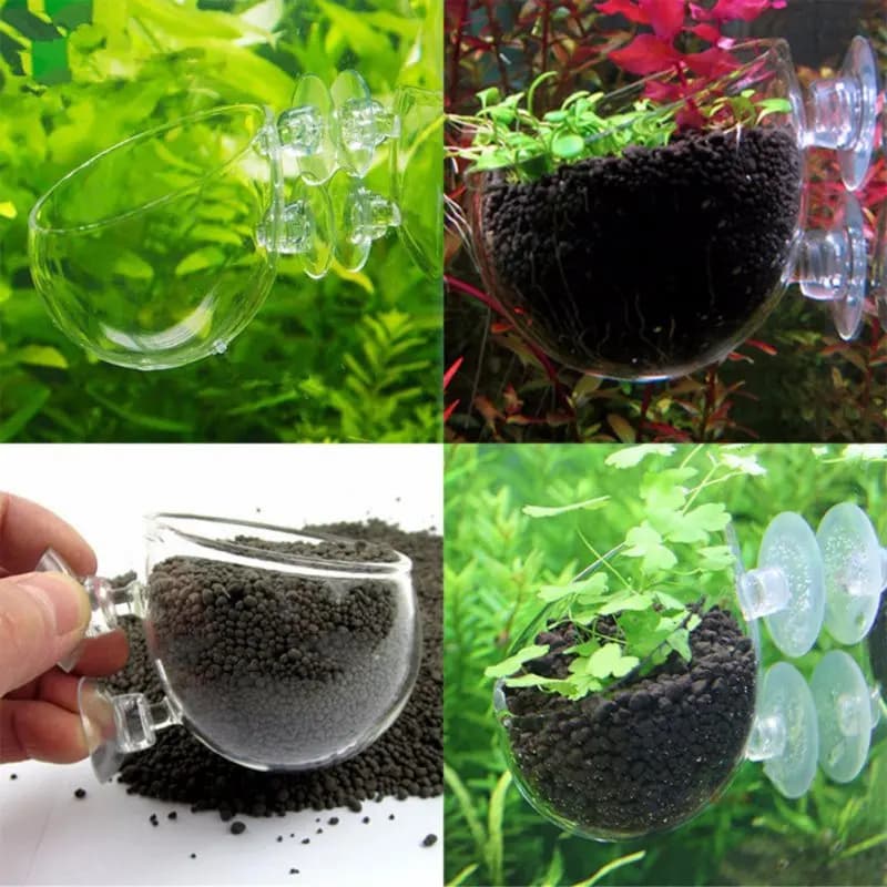 Aquarium Hanging Plant Pot Glass Cylinder Cup with Suckers for Cultivate Aquatic Plant Seeds Coral Moss Fish Tank Water Potted