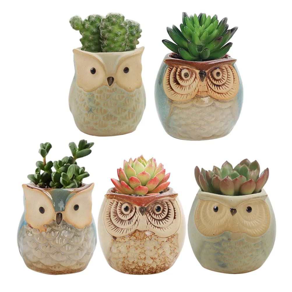 Set of 5 Owl Shape Ceramic Vases for Fat Plants, Semenzai, Home Decoration, Balcony, Patio, Garden, Elegance