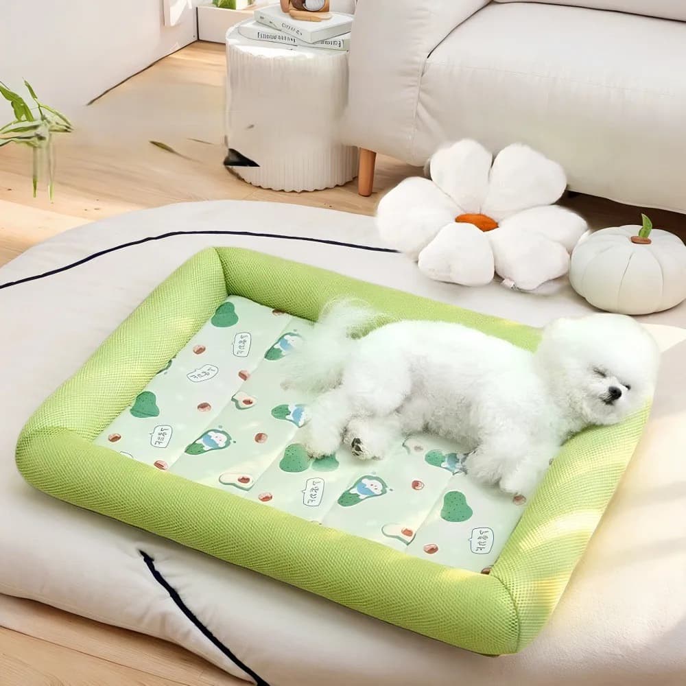 Cucce per Cani e Tappetini per Poodle Semichiusi in Microfibra, ad Asciugatura Rapida, Assorbenti, Bianchi, per Gatti da Interno, Lavabili, Traspiranti, Morbidi e Leggeri