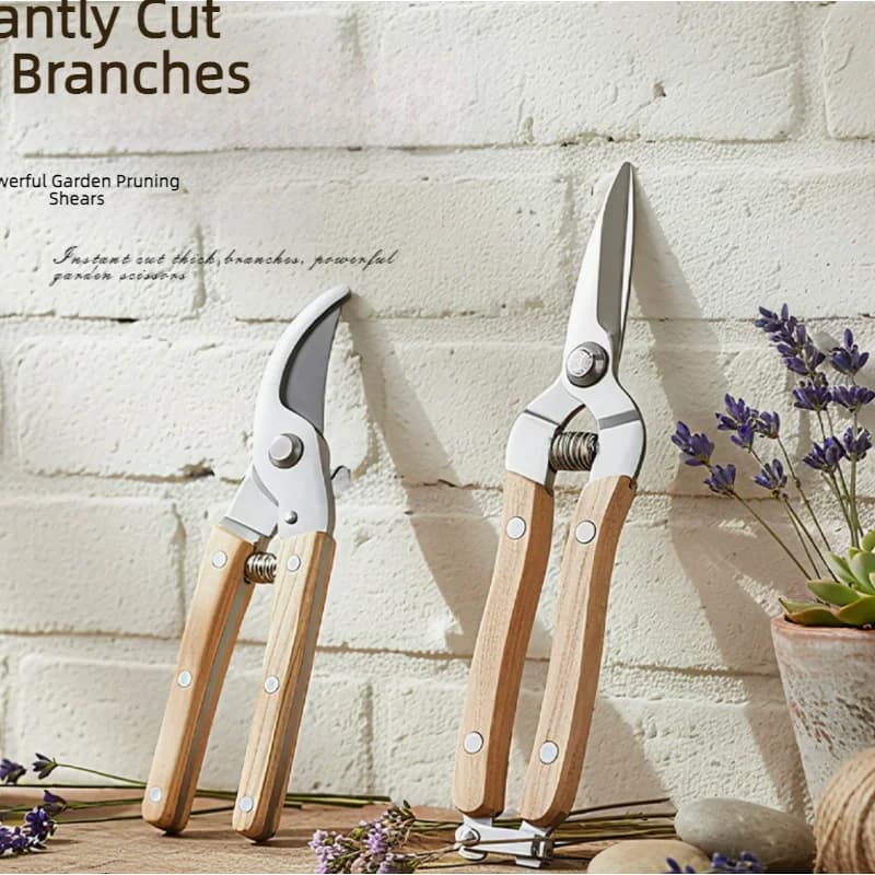 Forbici da Giardinaggio in Acciaio Inox per Potatura di Fiori e Rami, Utensile per Giardinaggio