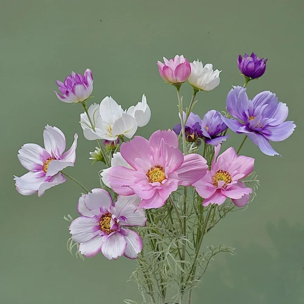 Artificial Flower Branch of Luxury Cosmos, Realistic Plastic Chrysanthemum, Elegant Fin Flower Made in Hand