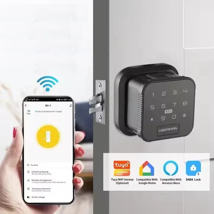 App Wi-Fi Tuya Unlcok Smart Fingerprint Lock Ttlock Ble Serratura elettronica NFC Wireless Wifi Bluetooth Opzionale