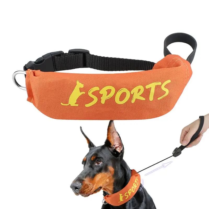 Set collare e guinzagli per cani Set guinzagli e collare 2 in 1 Imbracatura regolabile a prova di masticazione a prova di fuga per l'addestramento dell'obedienza