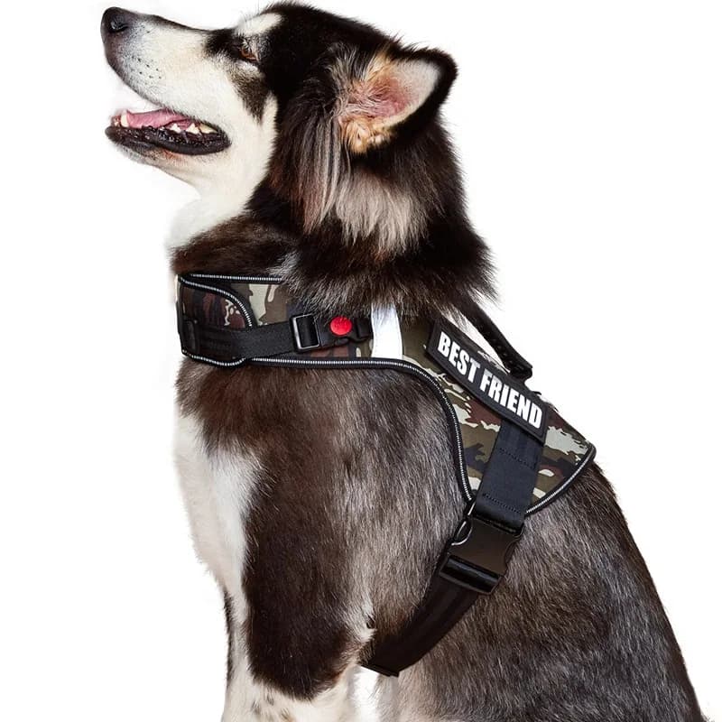 Gilet tattico per cani di grandi dimensioni – Imbracatura pettorale senza tiraggio per esterni con cinghie in velcro