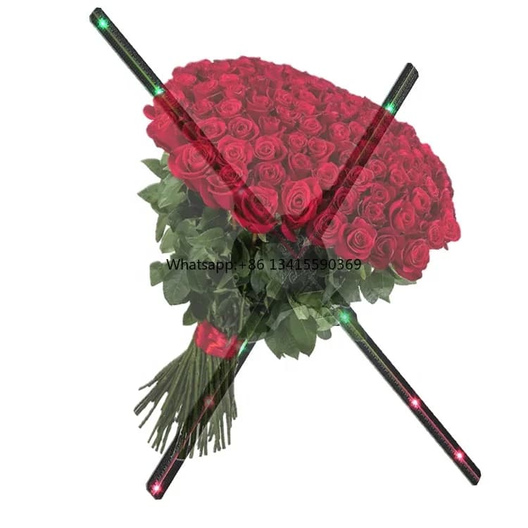Decorazioni per eventi Quattro pale Ad alta risoluzione 65 cm Pubblicità interna Olografica Occhi nudi Ventola LED 3D Ventola ologramma con controllo app