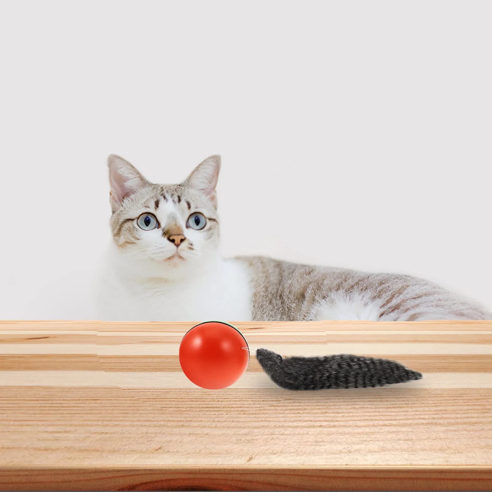 Palla Elettrica Motorizzata per Gatti e Cuccioli, Giocattolo Interattivo per Animali Domestici di Piccola Taglia, Colore Casuale